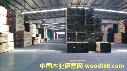 ����ľ��Ԕ����B