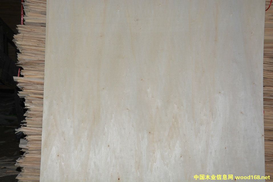 ���ח�ľо���Ԕ����B