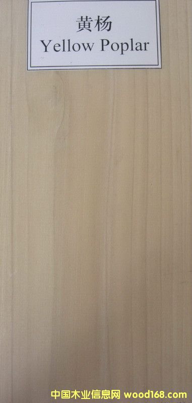 �S���Ԕ��(x��)��B