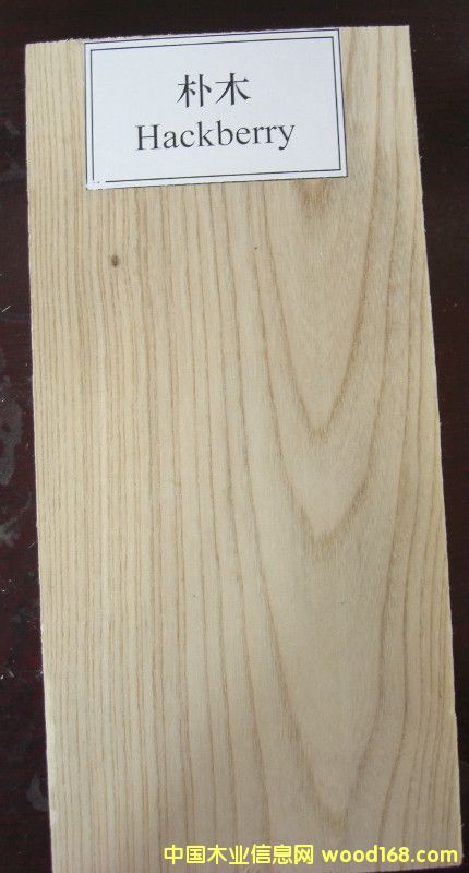 ��ľ��Ԕ��(x��)��B