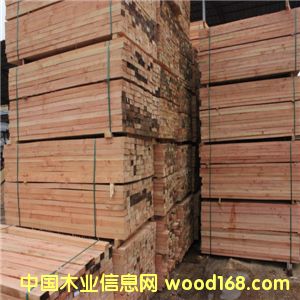 ������ľ����Ԕ����B