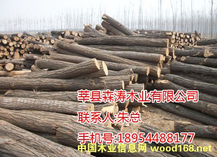 �sľ��Ԕ����B