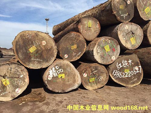 �t�Fľ��Ԕ����B