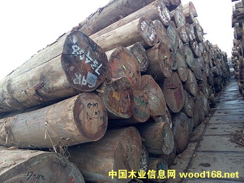 �y�ڵ�Ԕ����B