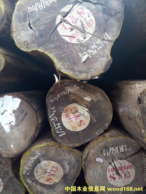 ��ľ����Ԕ����B