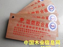 �c(di��n)���鿴��ȼ�z�ϰ�Ŵ�DƬ