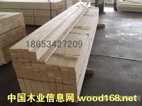�c���鿴��Ѭ��ľ���Ŵ�DƬ