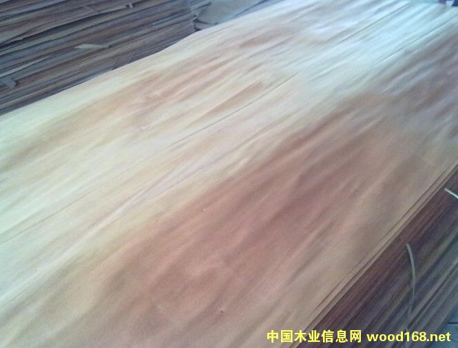 �c���鿴�ΰ�ľƤ�Ŵ�DƬ