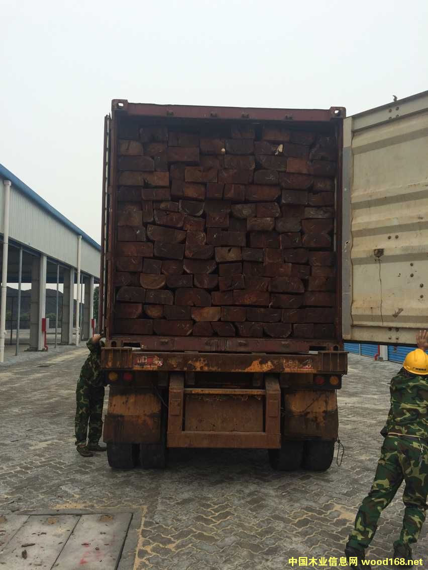 Ѫ̴��Ԕ����B