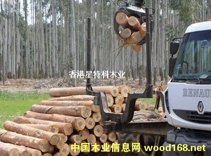 ��ľ��Ԕ����B