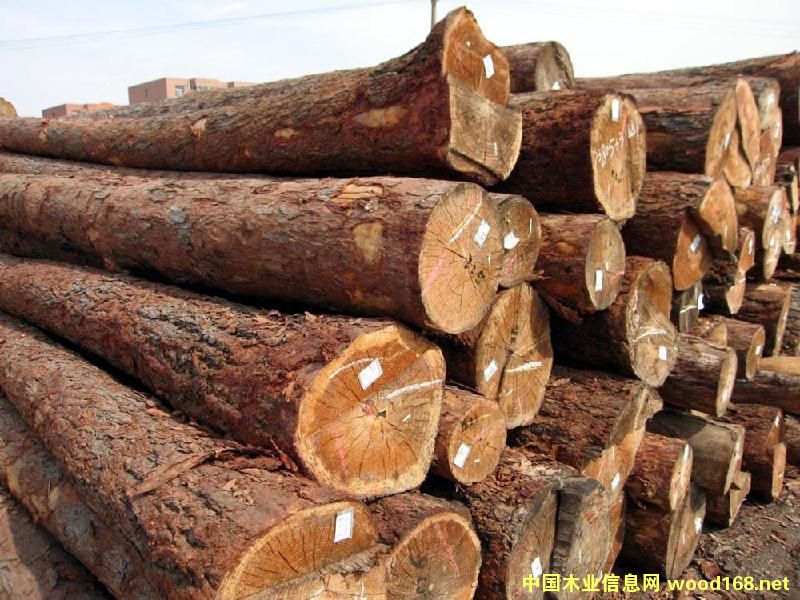 ݗ����ԭľ��Ԕ����B