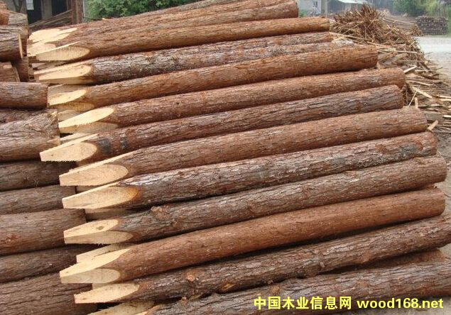 �����ӵ���ɼľ����Ԕ����B