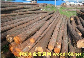 ������ľ������ľ/ԭľ�����ӵ���ľ����Ԕ����B