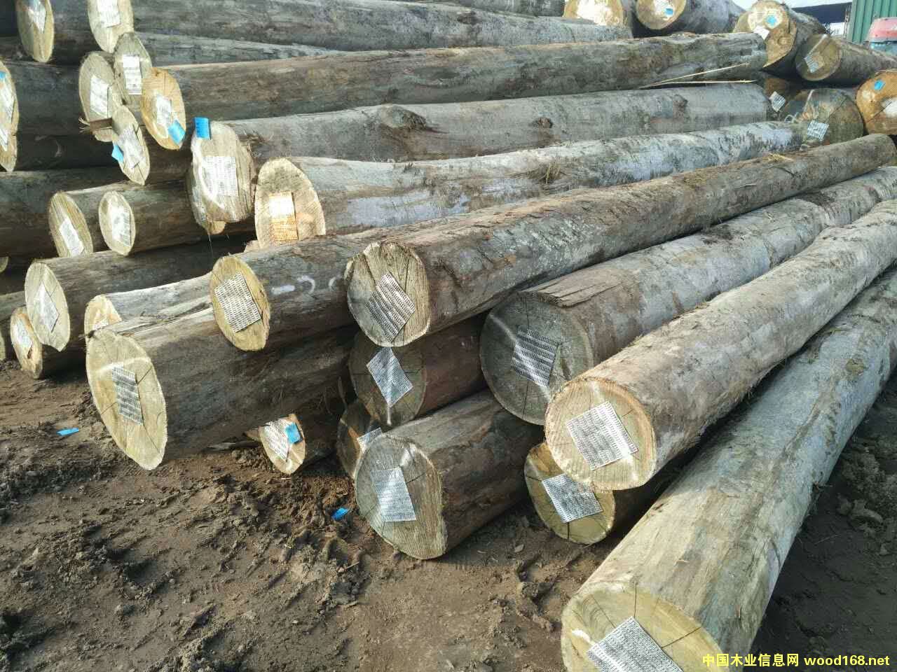 ������ԭľ��Ԕ����B