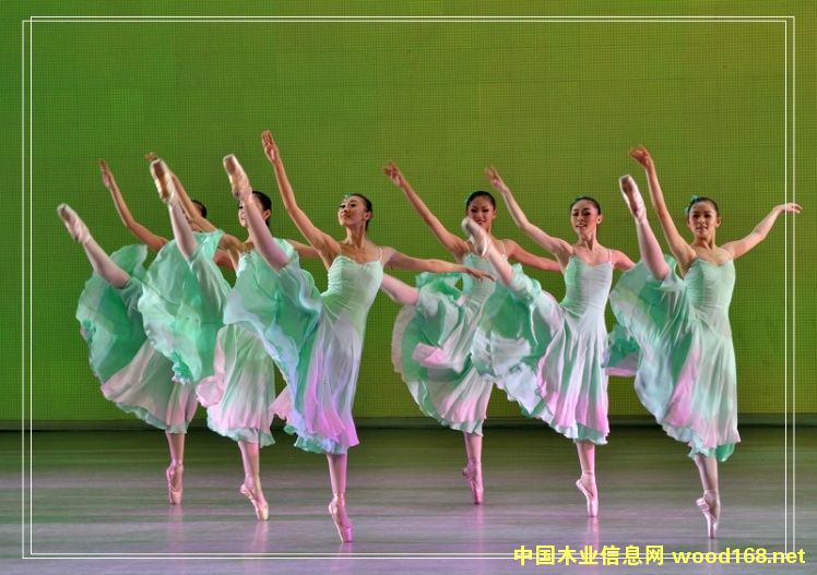 �c���鿴�����Wʽ�赸�҃ȵ��z pvc���z�Ŵ�DƬ