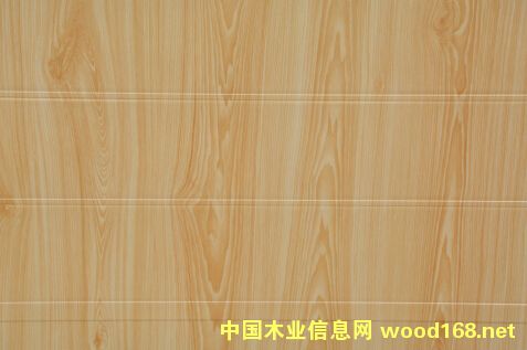 ���������X��Ϳ����Ԕ��(x��)��B