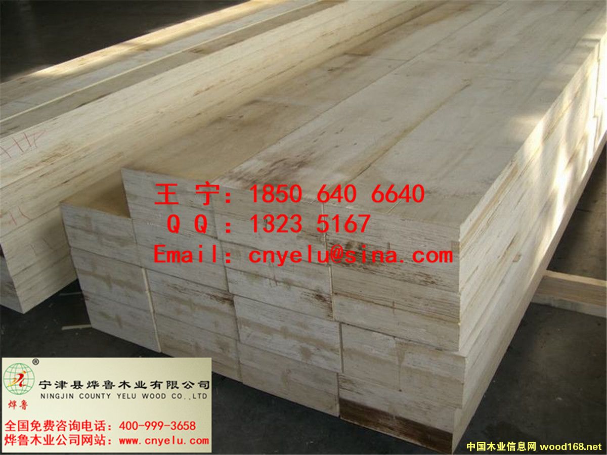 �c���鿴LVL��ķŴ�DƬ