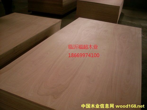 �c���鿴�U�P�� �z�ϰ� 12mm �����ň@�Ŵ�DƬ