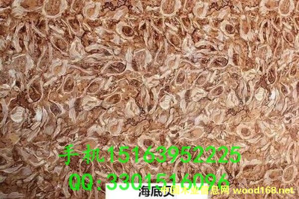 ʯ���f�´���ʯuv��S��ֱ�N(xi��o)