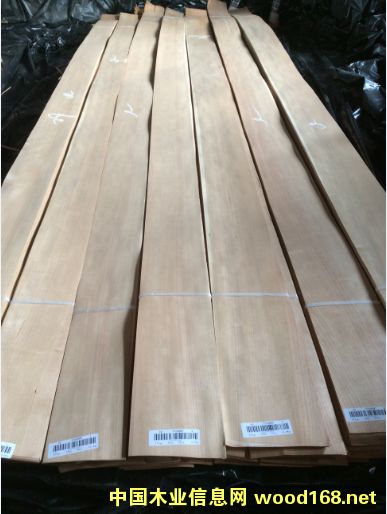 ��������ֱ�y��ȻľƤ��Ԕ����B