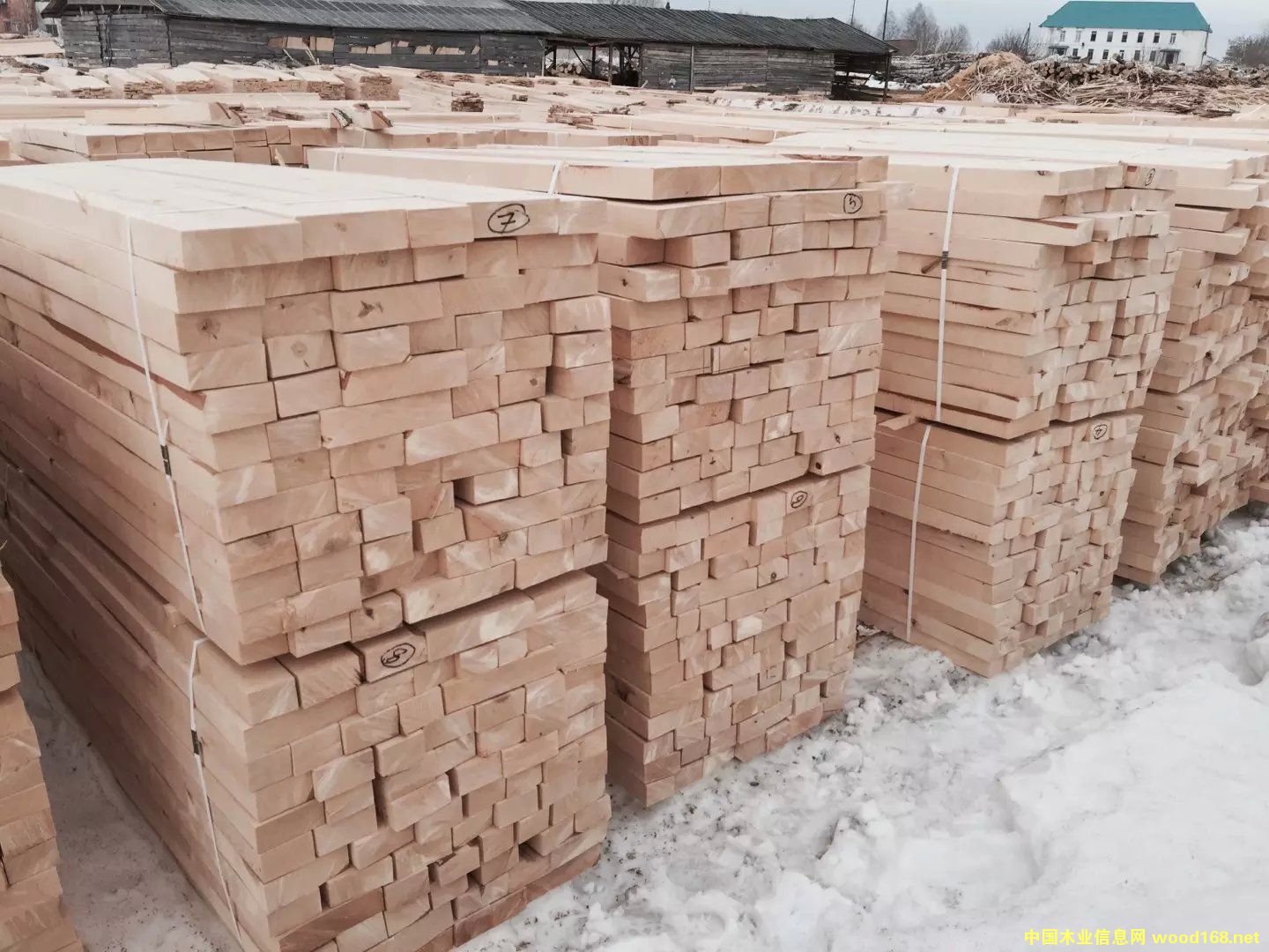 ��ľ���Ԕ����B