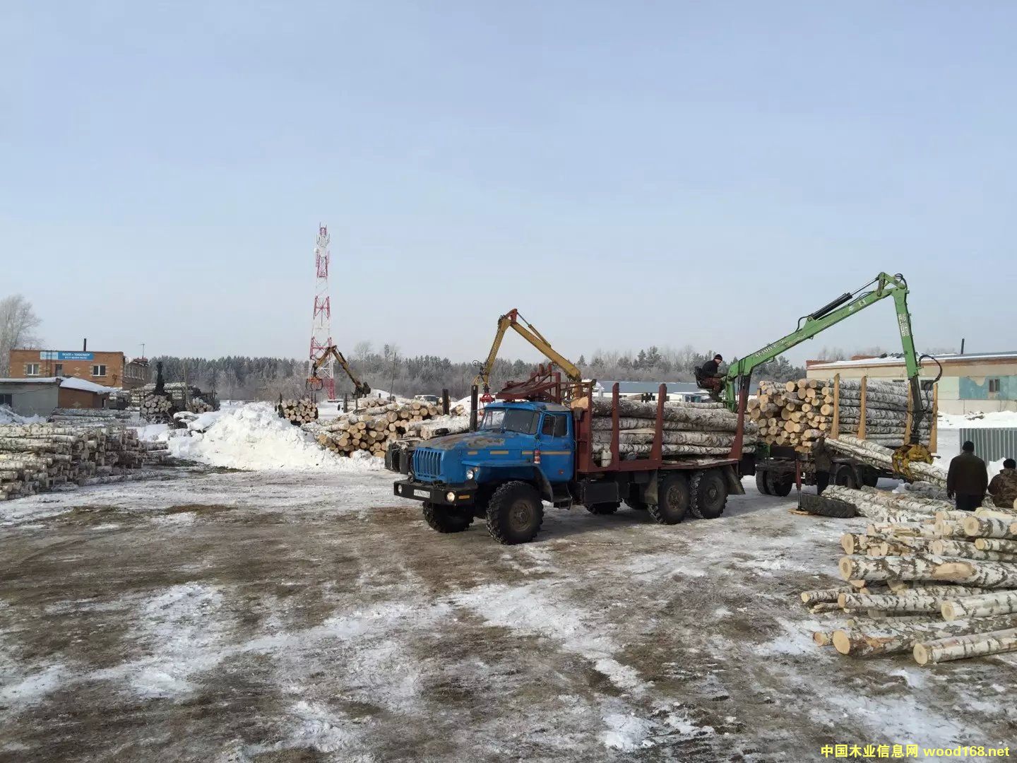 ��ľԭľ��Ԕ����B