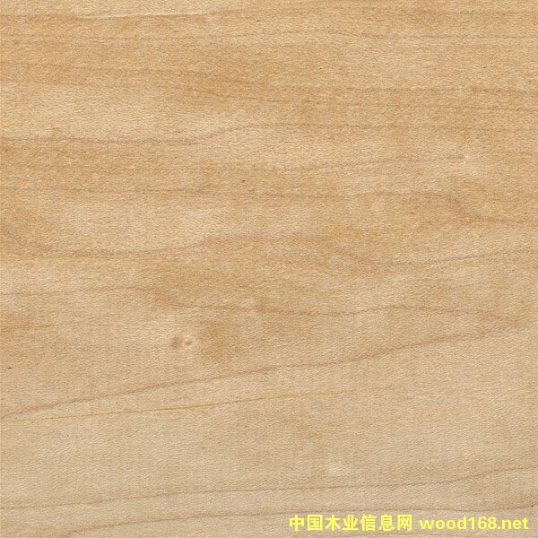 ܛ����Ԕ��(x��)��B