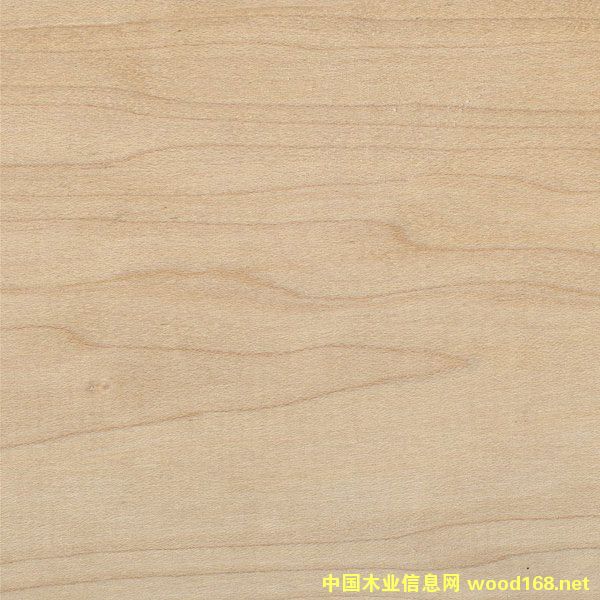 Ӳ����Ԕ��(x��)��B