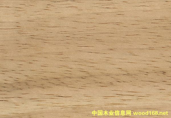 ̩��(gu��)���zľ��Ԕ��(x��)��B