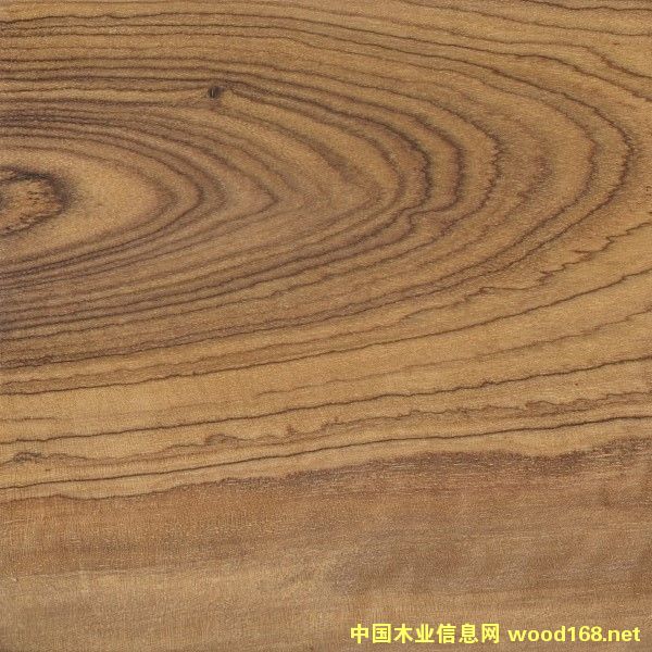 ������ϙ�ľ��Ԕ��(x��)��B