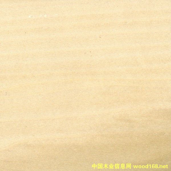 �S���Ԕ��(x��)��B