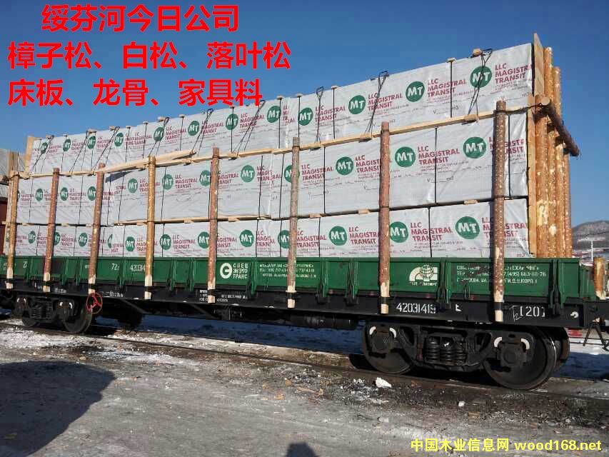 MT��Ԕ����B