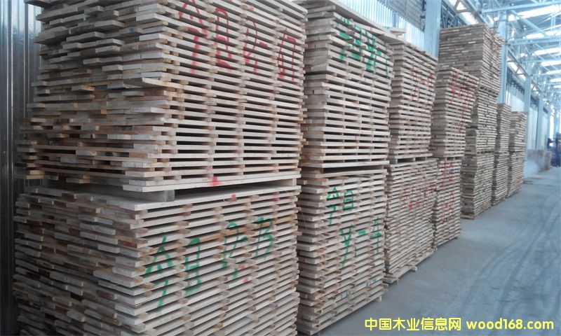 ��ľ��Ԕ����B