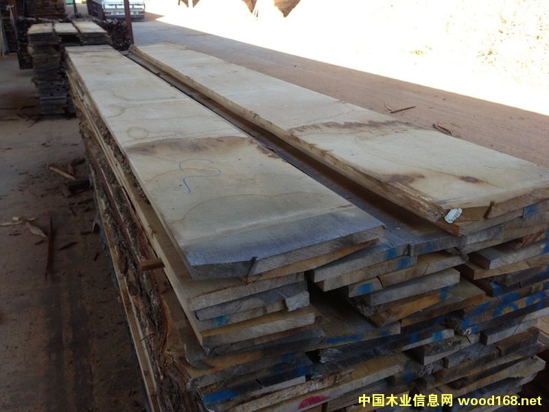 white oak lumber��Ԕ����B