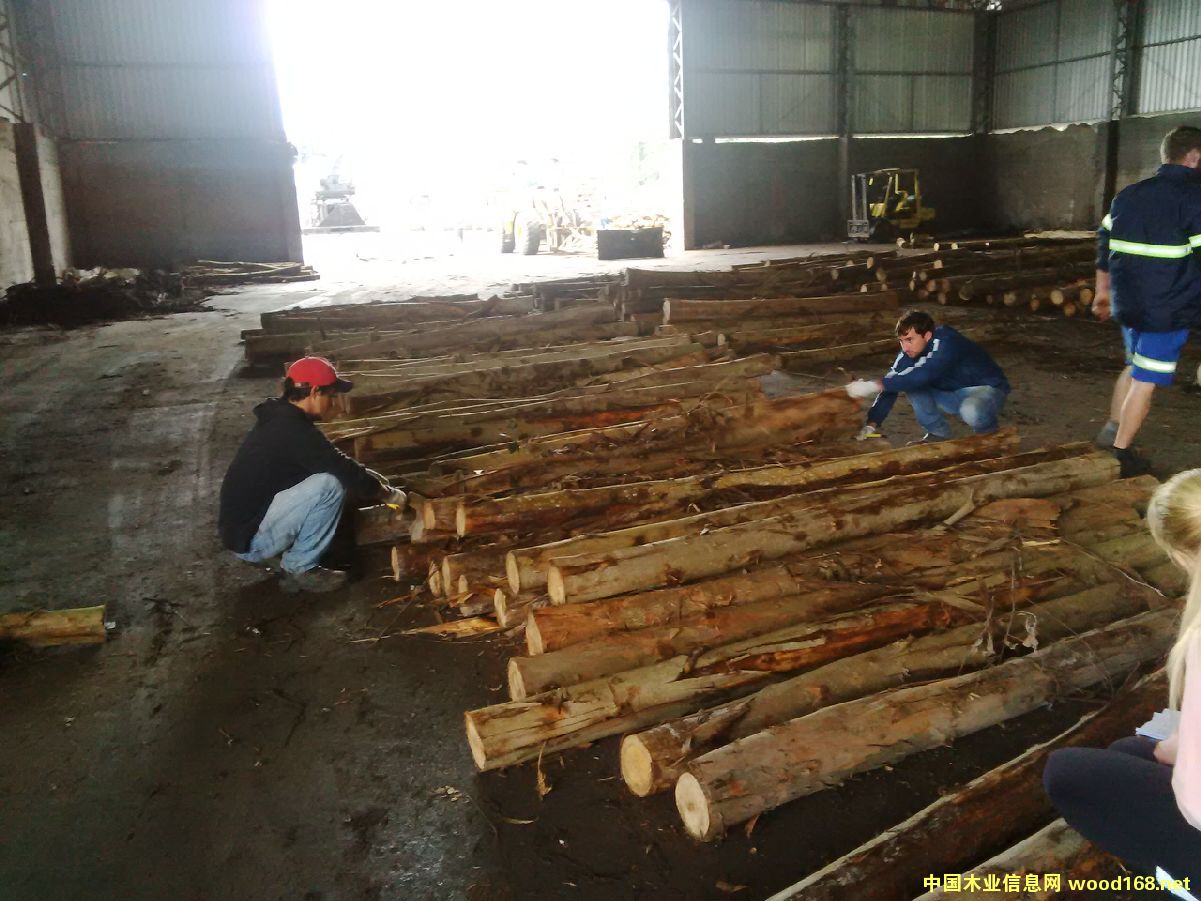 ������ľԭľ