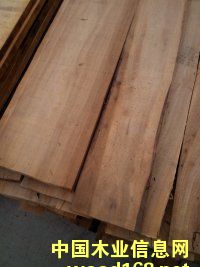 ��ľ��Ԕ��(x��)��B