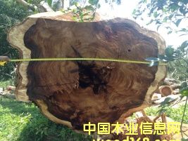 �S̴��Ԕ����B