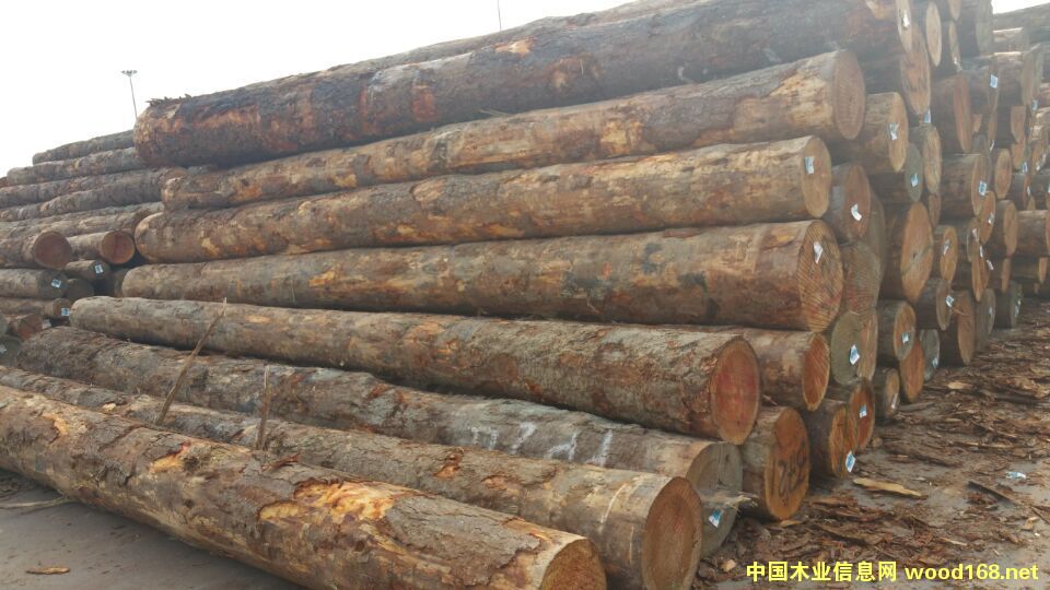 �����m������