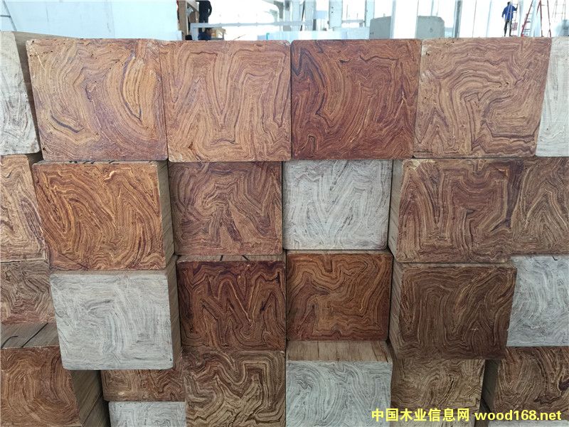 ����ľ�������ؽMľ