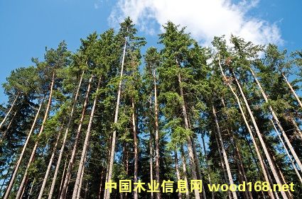 PEFC�J�C�����m�֘IӰ����h