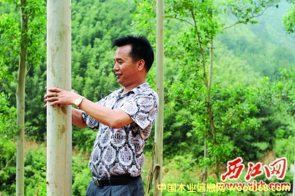���I���棺�V��ɭïľ�I�S�Ʒ��ľƵ���е����ϰ�
