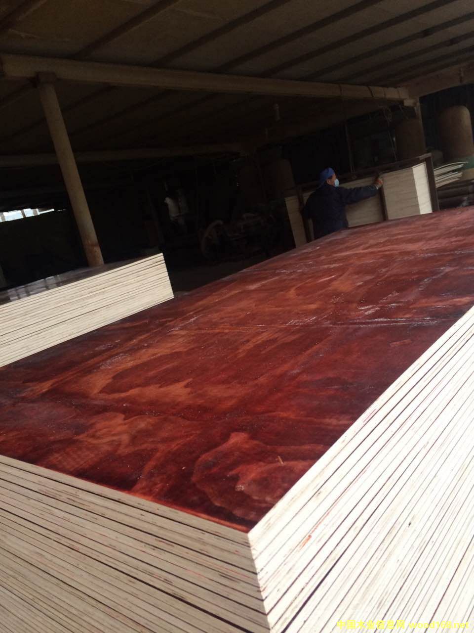 ����ģ�� ��(f��)�ϰ��Ԕ��(x��)��B