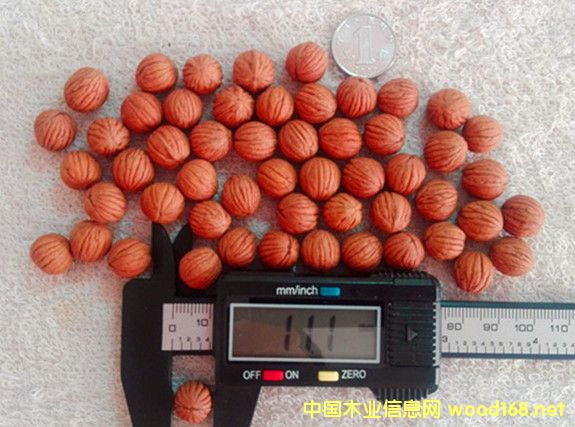 ����10-45mm�������^����