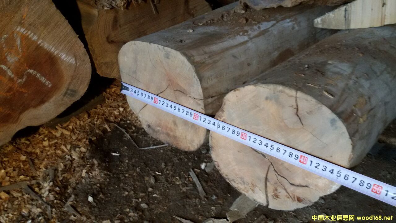 ����ľ��Ԕ����B