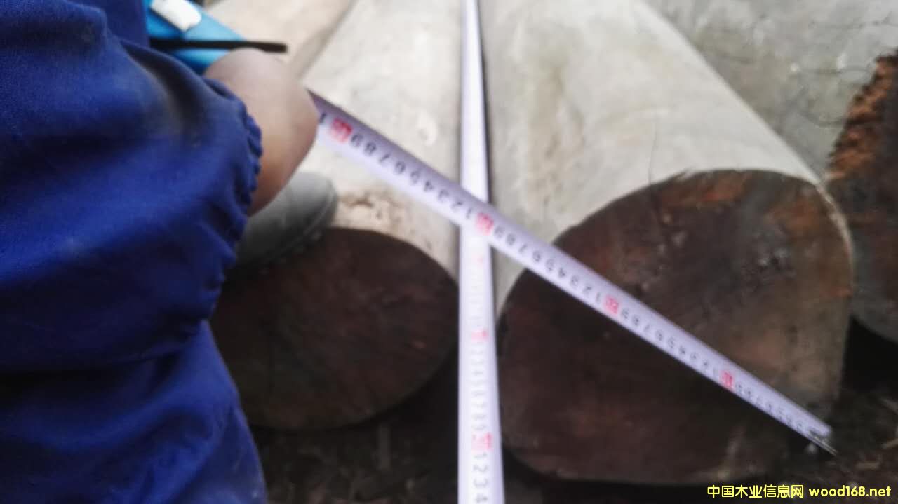 ����ľ��Ԕ����B