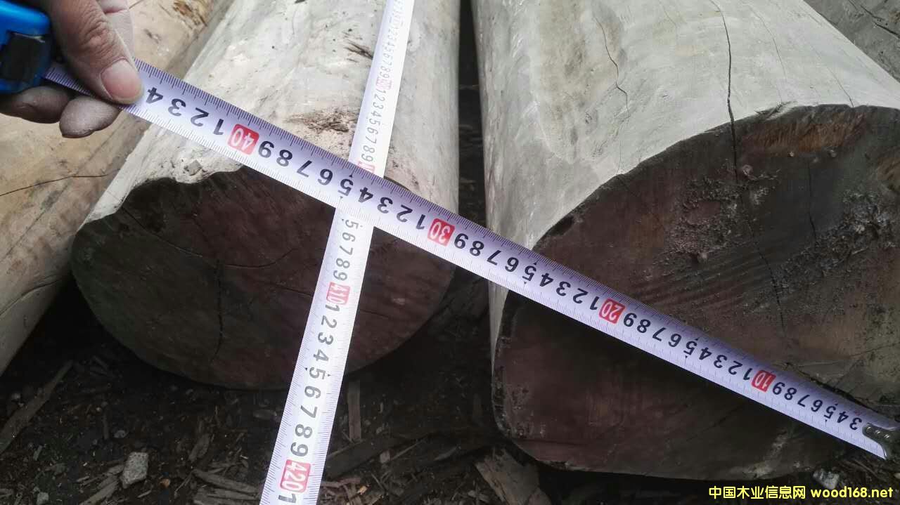 ����ľ��Ԕ����B