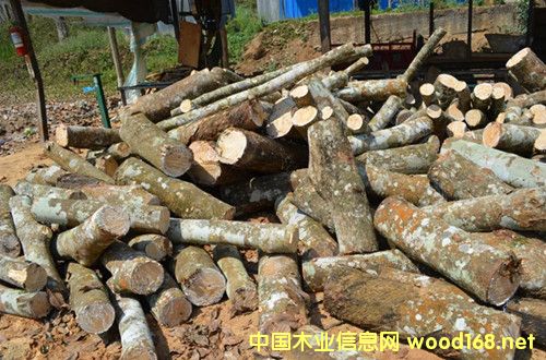 ���zľ��Ԕ��(x��)��B