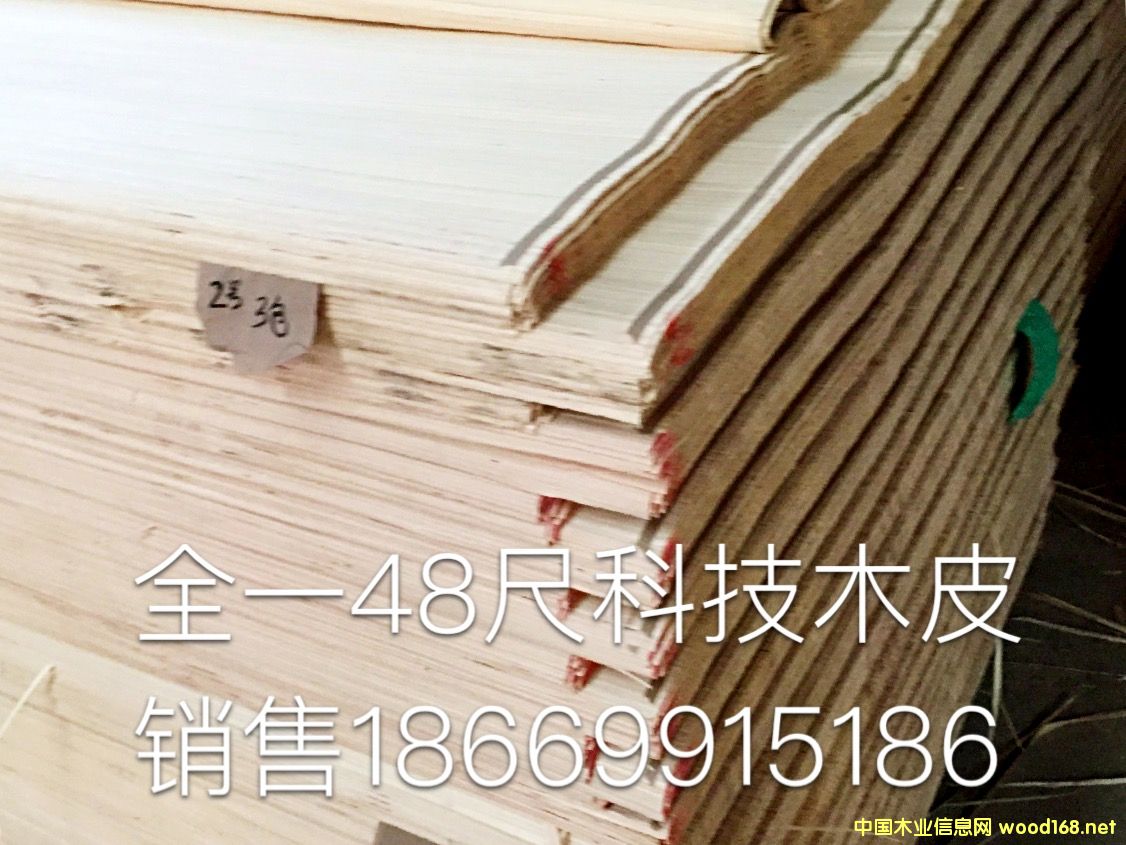 48�߿Ƽ�ľƤ��Ԕ����B