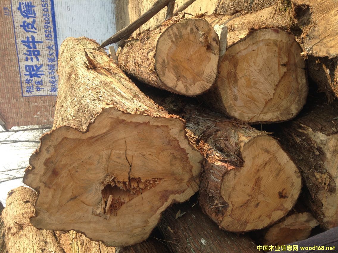 �F���Ͱص�Ԕ����B