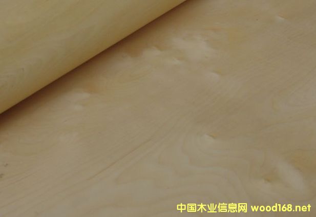 �ט���Ƥ��Ԕ����B